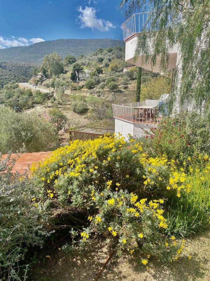 Ses Terrasses Διαμέρισμα Cadaqués Εξωτερικό φωτογραφία