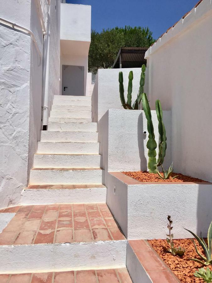 Ses Terrasses Διαμέρισμα Cadaqués Εξωτερικό φωτογραφία