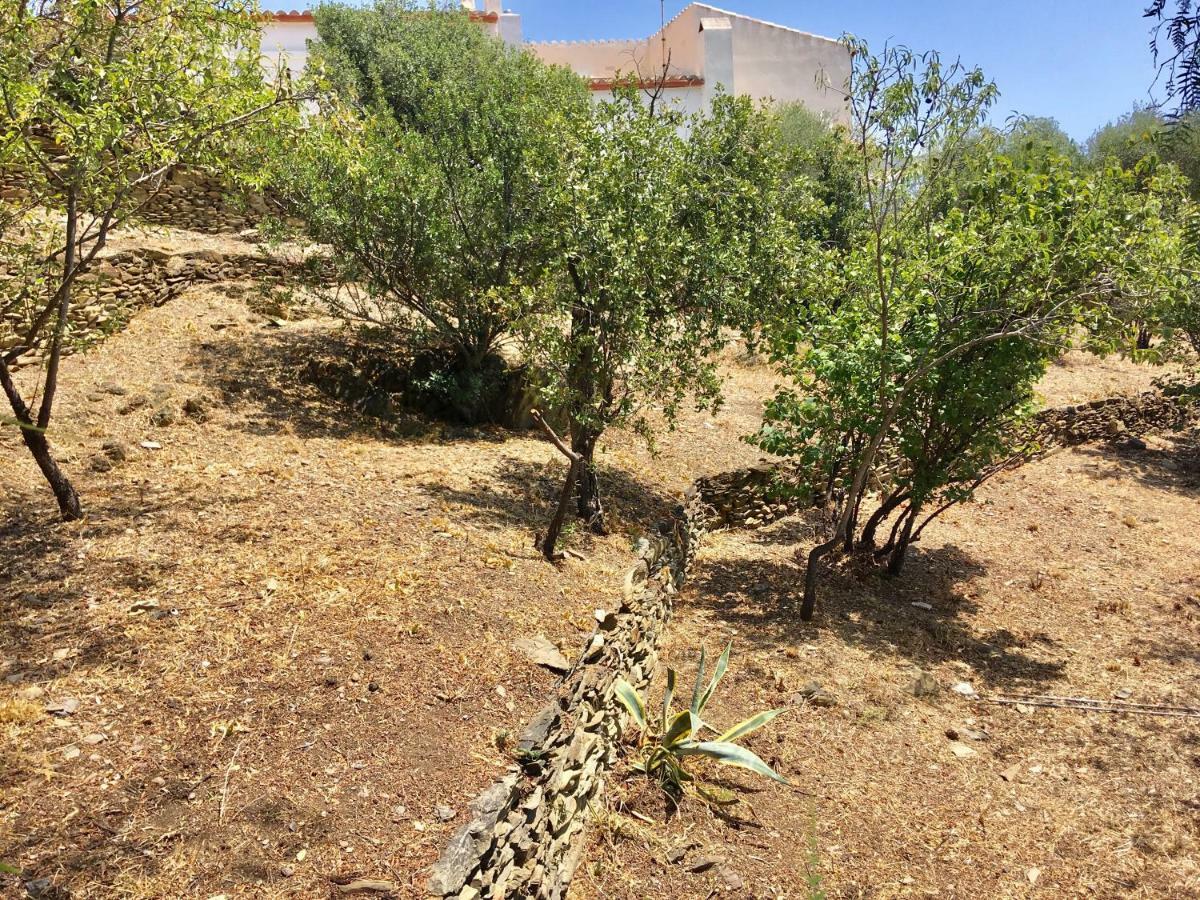 Ses Terrasses Διαμέρισμα Cadaqués Εξωτερικό φωτογραφία